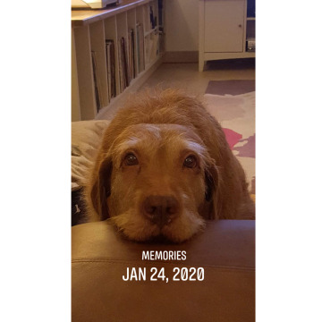 Photo for notice Barry Stephen HANSLIP