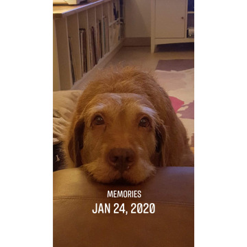 Photo for notice Barry Stephen HANSLIP