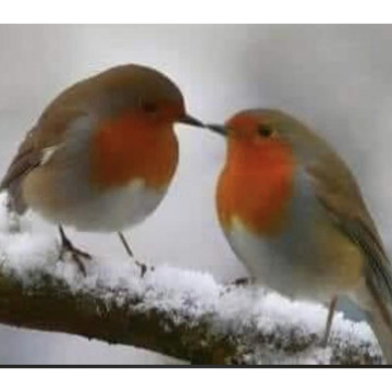 Photo for notice Janet VENABLES