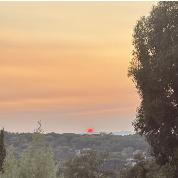 Photo for notice Frank STABLER