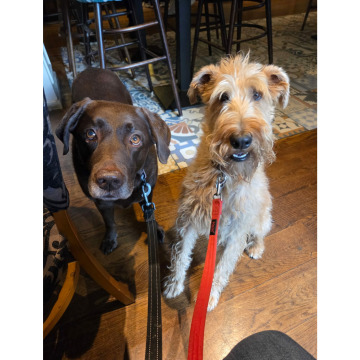 Photo for notice Heather Marie MURPHY