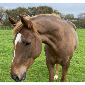 Photo for notice Bobbie SHEERIN