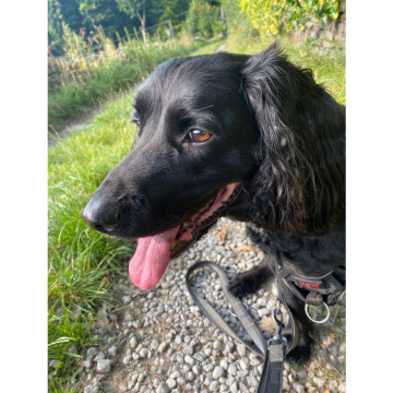 Photo for notice Russell William CRAWSHAW