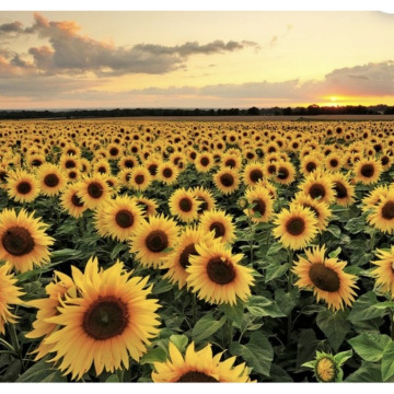 Photo for notice Stuart Albert JAKINS