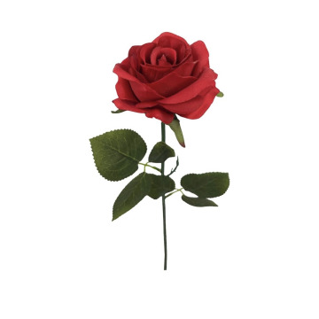 Photo for notice Katrina TREHERNE