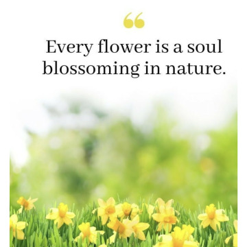 Photo for notice Janet TOMLINSON