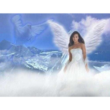 Photo for notice Susan LANE