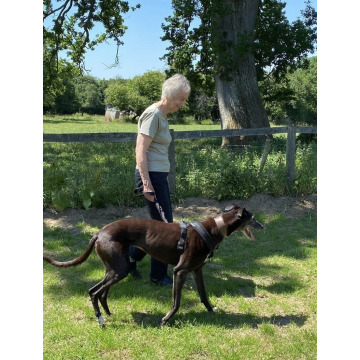 Photo of Carol Anne MASON