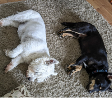 Photo for notice Stephen Roger TATE