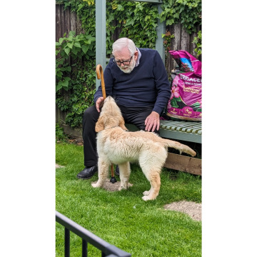 Photo for notice George WHITE