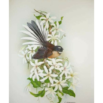 Photo for notice Molly WILLMER