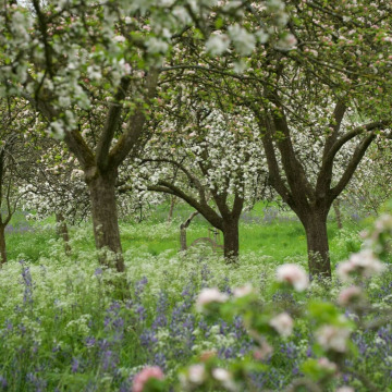 Photo of Malcolm STRANG