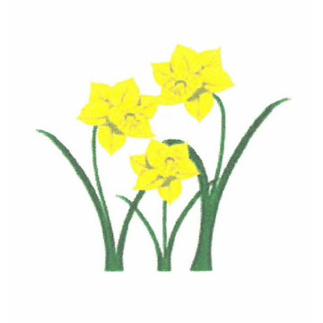 Photo for notice Gareth DAVIES