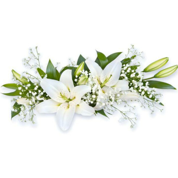 Photo for notice Mohinder Singh SOKHI