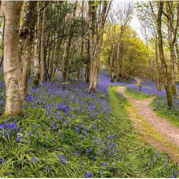 Photo of Kevin Charles PEARCE