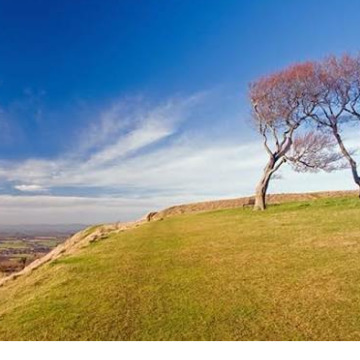 Photo for notice Gwyneth Marion HURCOMBE