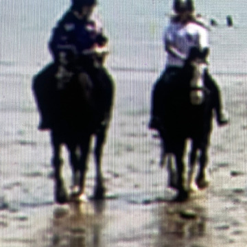 Photo for notice Lili HOWELLS