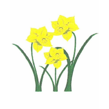 Photo for notice Sarah POWELL