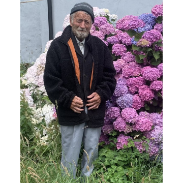 Photo of Hywel Lloyd DAVIES