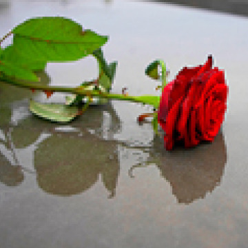 Photo for notice John CURLEY