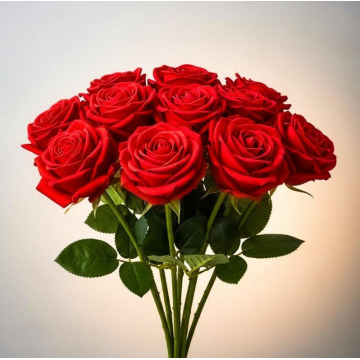 Notice Gallery for Christina TUACH - (MUIR OF ORD)