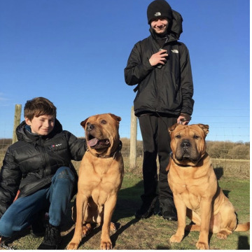 Photo for notice Dylan Kaya MELIA