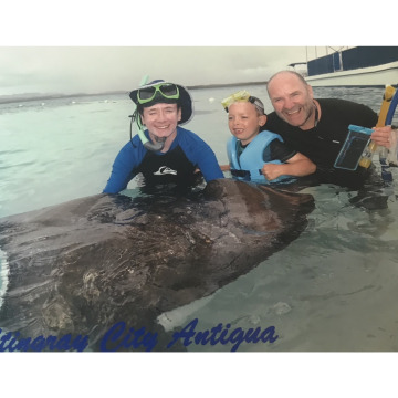 Photo for notice Dylan Kaya MELIA