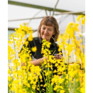 Notice Gallery for Tracy ROBBINS