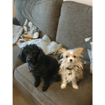 Photo for notice Janice Dawn CRAMPTON