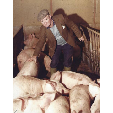 Photo of Alan JACKSON