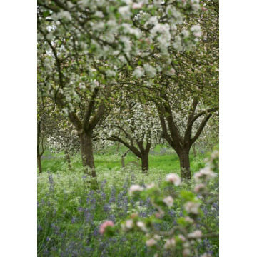 Photo of Jill Freda GIBSON