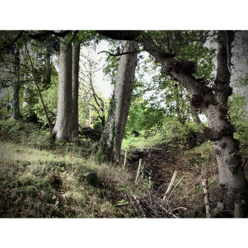 Photo for notice Sheila REED