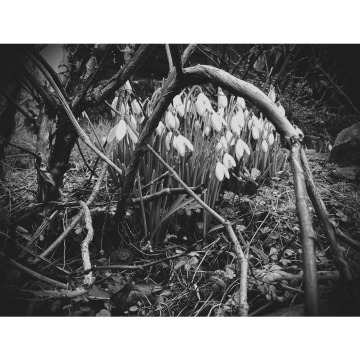 Photo for notice Sheila REED