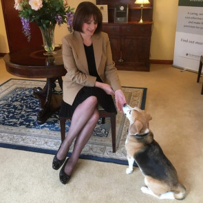 what_is_a_therapy_dog_photo_right_1
