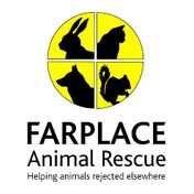 donation charity logo