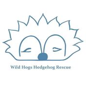 donation charity logo